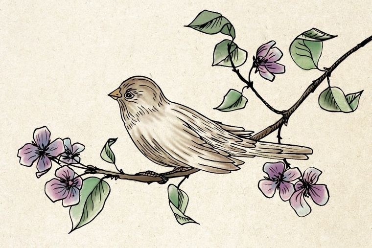 Brush Marker, markery dwustronne, 12 kolorów