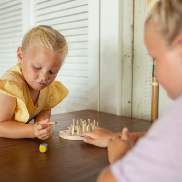 BS Toys, kolorowe pędzle, drewniana gra pamięciowa