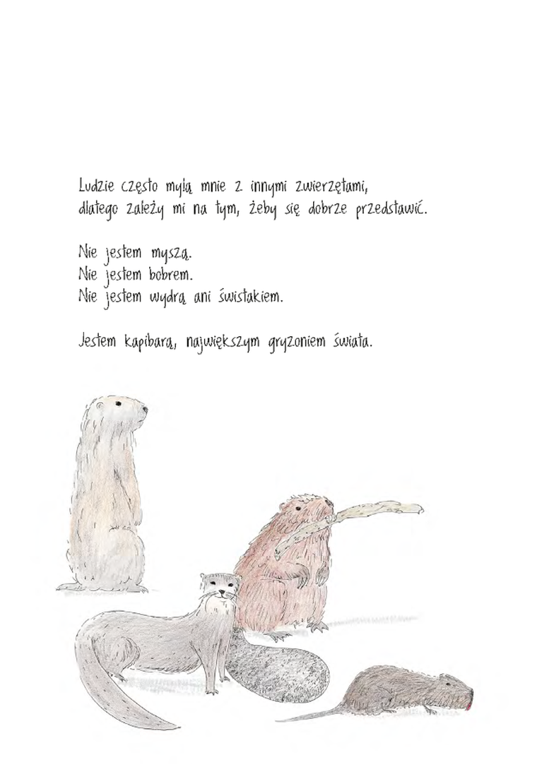 Być jak kapibara