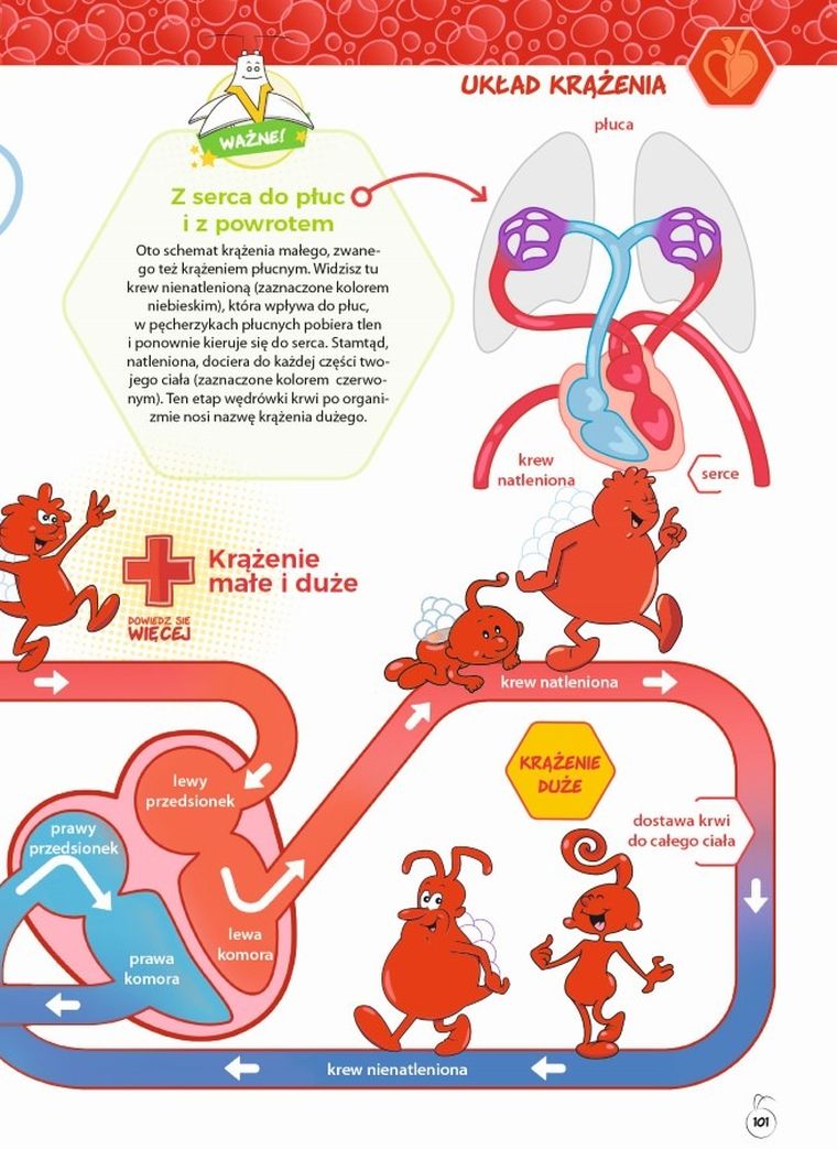 Było sobie życie. Encyklopedia dla dzieci. Tajemnice ludzkiego ciała
