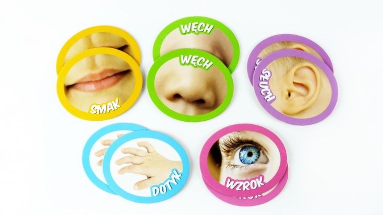 Carotina, Ciało człowieka, puzzle edukacyjne