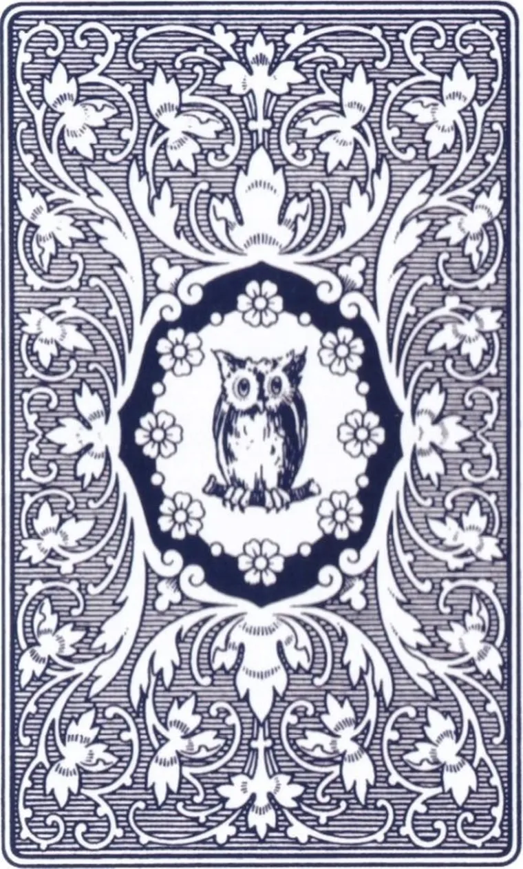 Cartamundi, Mlle Lenormand, karty tarota, Blue Owl