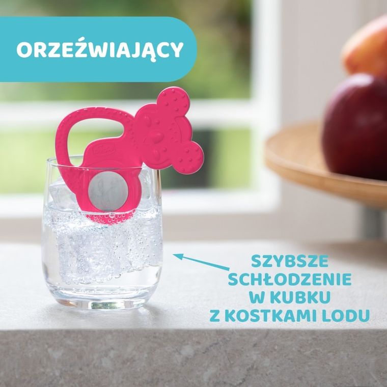 Chicco, Koala, gryzak ze stalą nierdzewną, różowy