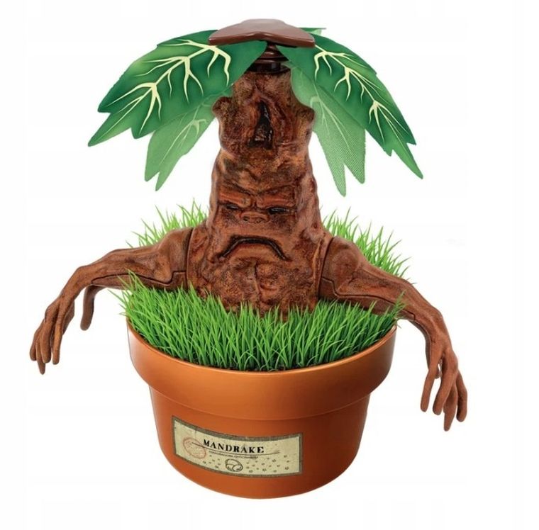Clementoni, Harry Potter, Mandragora, zestaw edukacyjny