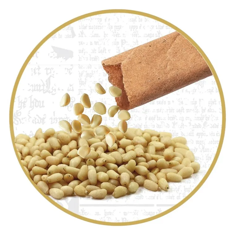 Clementoni, Harry Potter, Terrarium, gips paryski, kolory, formy, zestaw