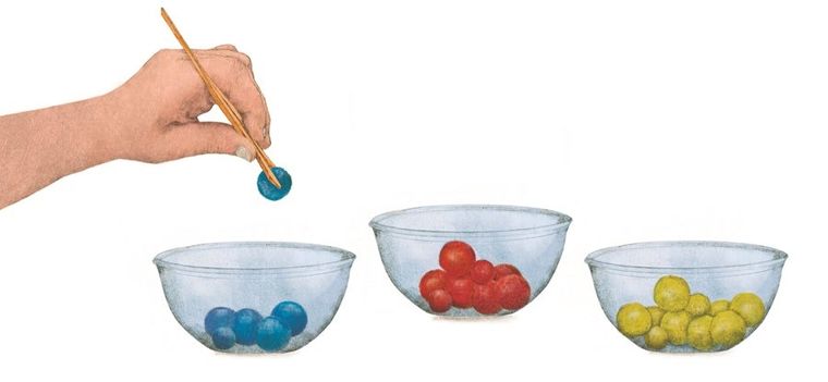 Clementoni, Montessori to tutaj, to tam, gra zręcznościowa