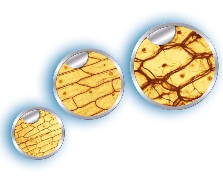 Clementoni, Naukowa zabawa, mikroskop, zabawka edukacyjna