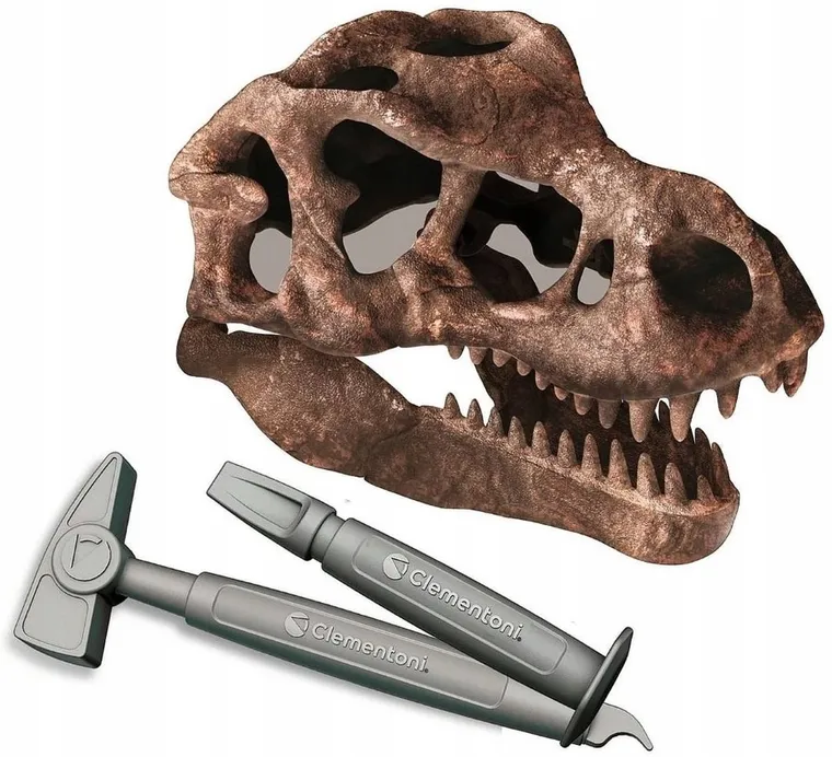 Clementoni, Naukowa Zabawa, Skamieniałości, Czaszka Wielkiego T-Rexa, zestaw edukacyjny