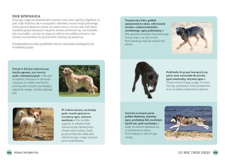 Co wie Twój pies?