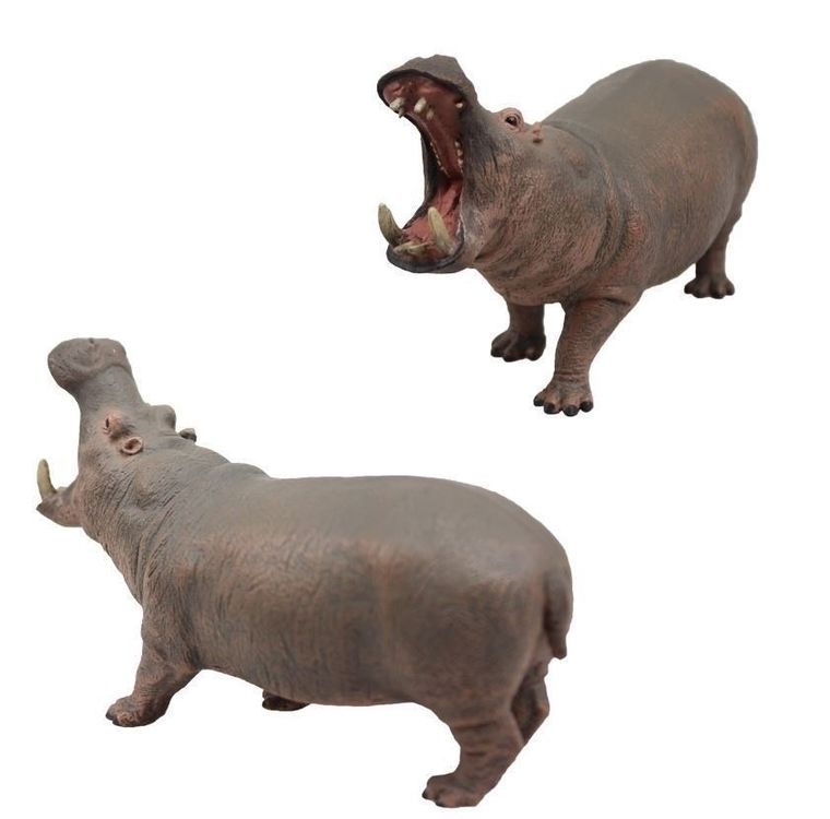 Collecta, Hipopotam, figurka