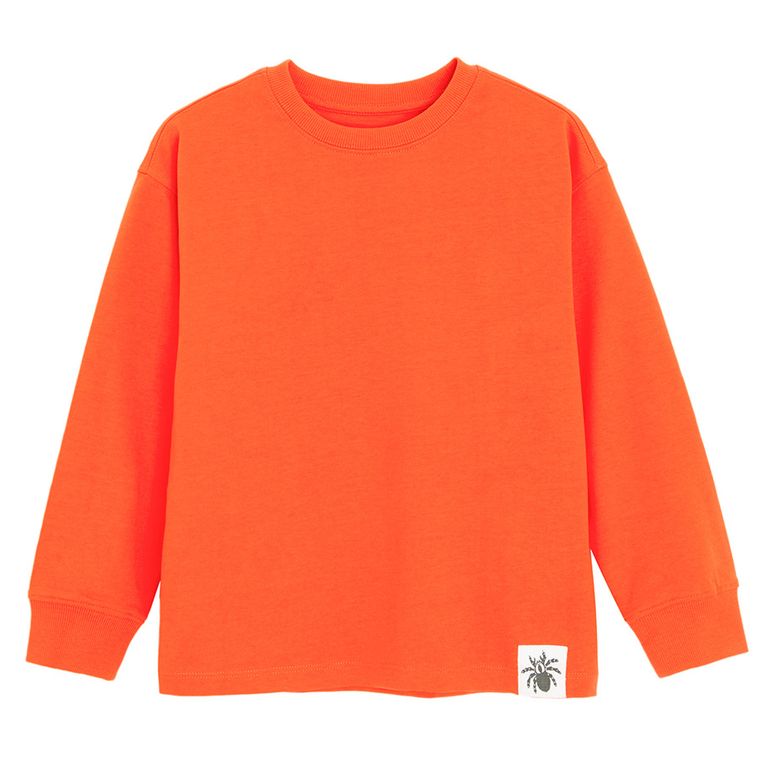 Cool Club, Bluza chłopięca, mix, zestaw, 2 szt.