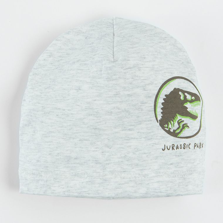 Cool Club, Czapka chłopięca, szara, zielona, Jurassic World, zestaw, 2 szt.
