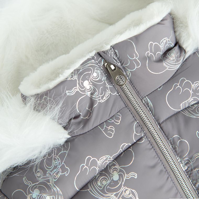 Cool Club, Kurtka dziewczęca z kapturem, ocieplana, szara, Psi Patrol