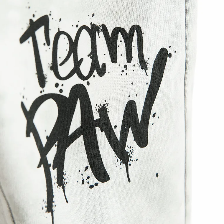 Cool Club, Spodnie dresowe chłopięce, szare, Psi Patrol