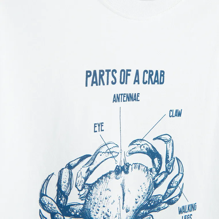 Cool Club, T-shirt chłopięcy, biały, zestaw, 2 szt.