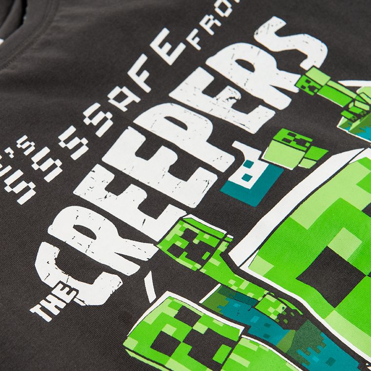 Cool Club, T-shirt chłopięcy, szary, Minecraft
