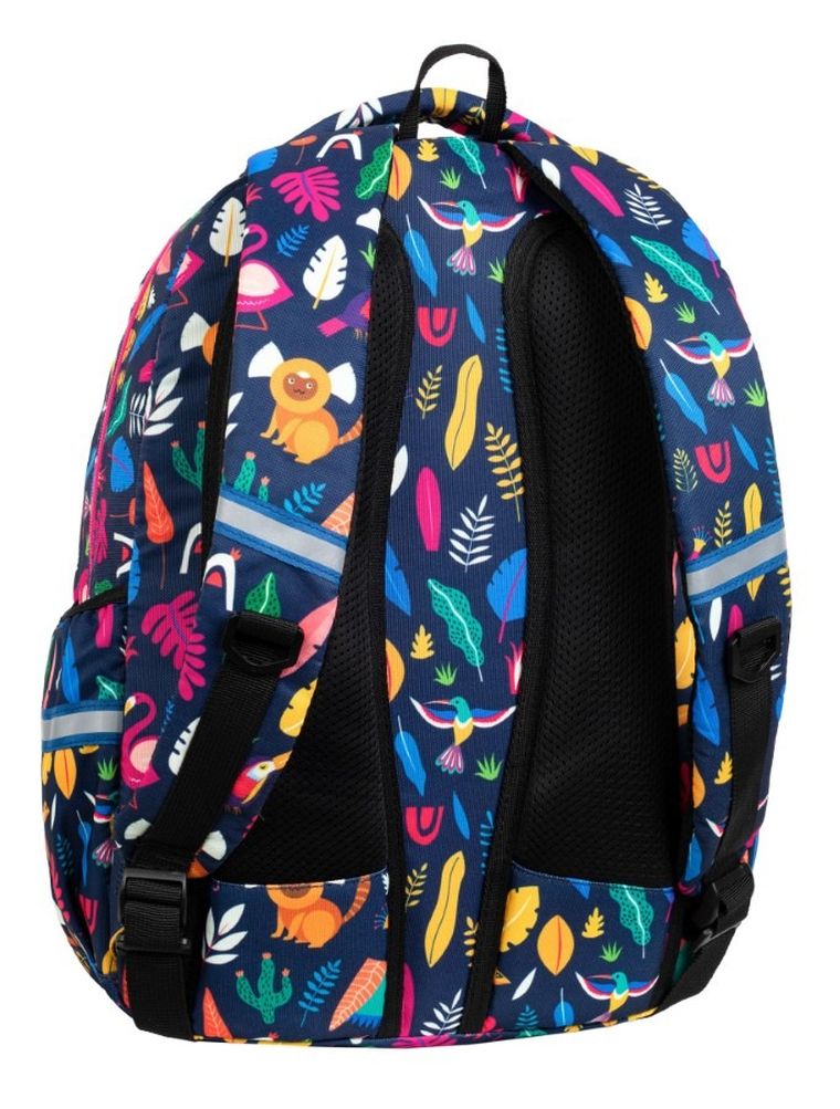 CoolPack, Basic Plus, plecak szkolny, 2-komorowy, Lady Color