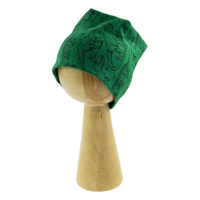 Czapka chłopięca, zielona, Nicol
