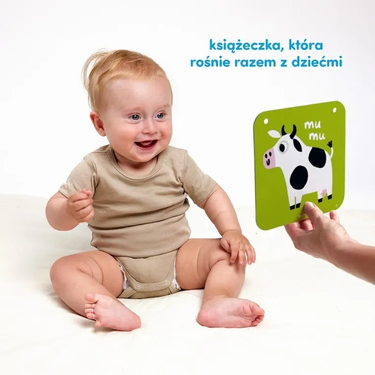 Czuczu, karty kontrastowe, duże, 6m+