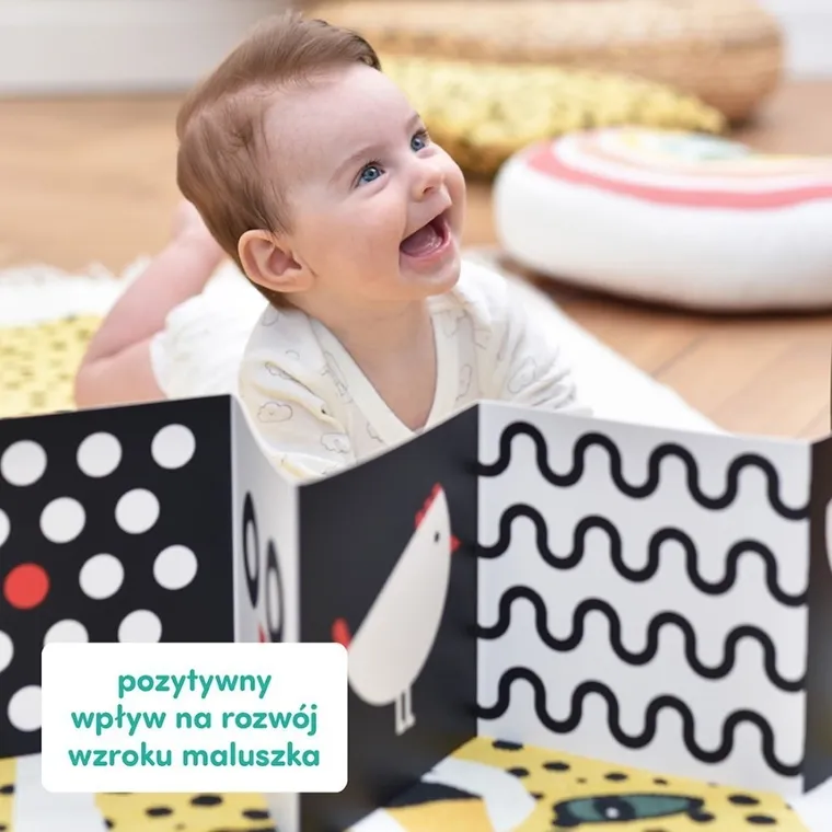 CzuCzu, Starter malucha, Co widzę? 2 książeczki obrazkowe, dla niemowląt