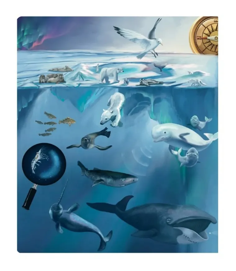 Czytaj z Albikiem. Tajemnice mórz i oceanów