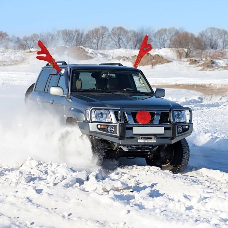 Dekoracja świąteczna na samochód, renifer