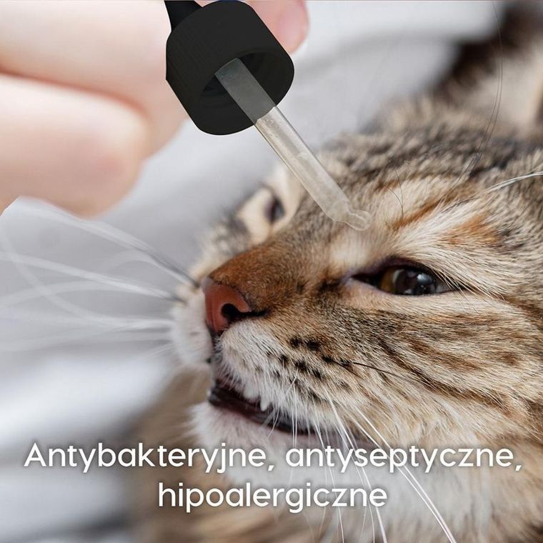 Dew, Krople do oczu dla zwierząt, 65 ml