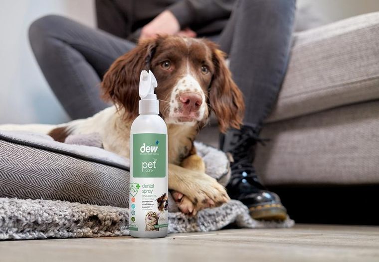 Dew Pet Care, środek do pielęgnacji jamy ustnej dla zwierząt, 2,5l