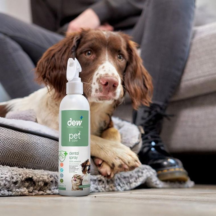 Dew, spray do pielęgnacji jamy ustnej dla zwierząt, 250 ml