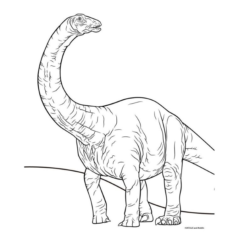 Diakakis, Jurassic Park, kolorowanka z naklejkami