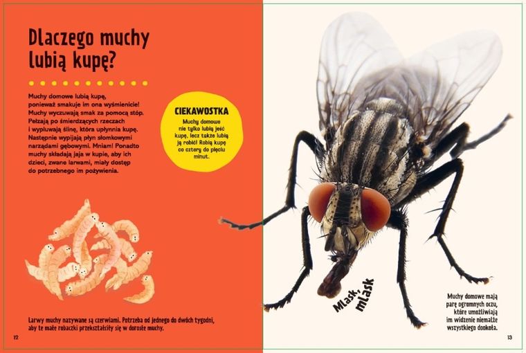 Dlaczego? Moja pierwsza wielka księga odpowiedzi