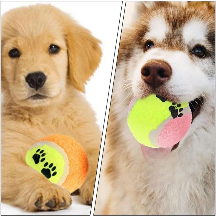 Dogs Collection, piłka dla psa, tenis ziemny, 5 szt.