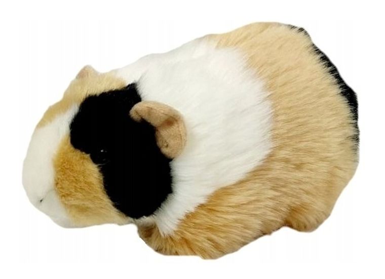 Dubi, świnka morska, łaciata, maskotka, 20 cm