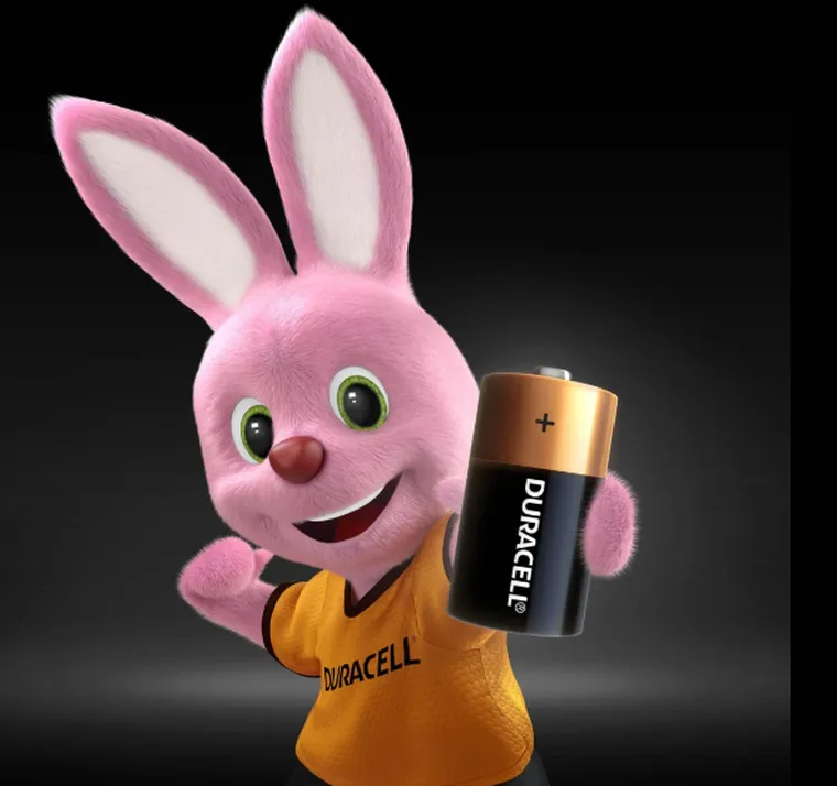 Duracell, zestaw, baterie alkaliczne, 2 szt.