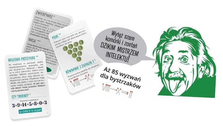 Dzika logika. Zagadki i łamigłówki