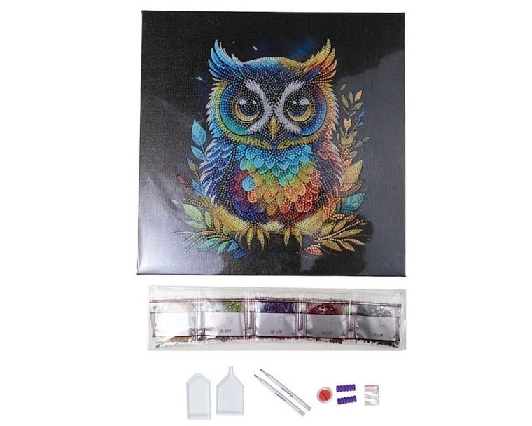 Epee, Crystal Art, obraz na płótnie z mozaiką, sowa, 30-30 cm