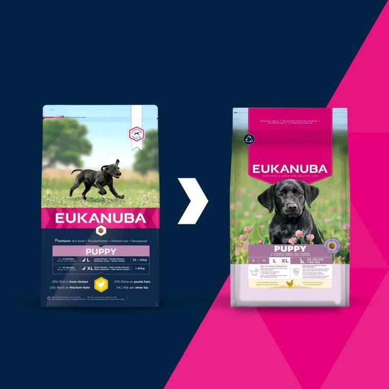 Eukanuba, Puppy Large rich in chicken, karma sucha dla psa, 15 kg