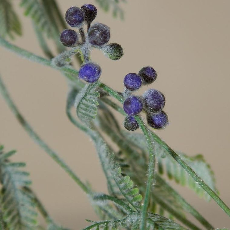 Eurofirany, kwiat Natu, długość 57 cm, długość z listeczkami 39 cm, fioletowy