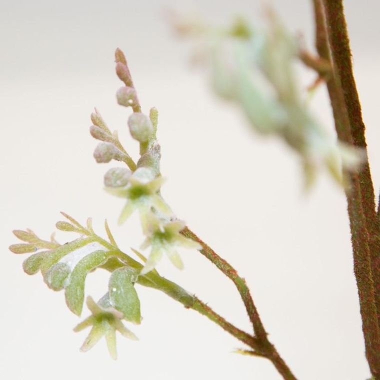 Eurofirany, kwiat Natu, długość 75 cm, długość z kwiatami 40 cm, długość kwiatu 6 cm, zielony