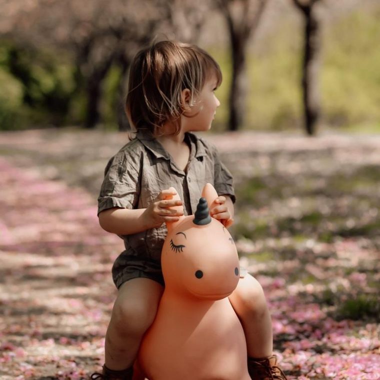 Find that Hippo, Jednorożec, skoczek