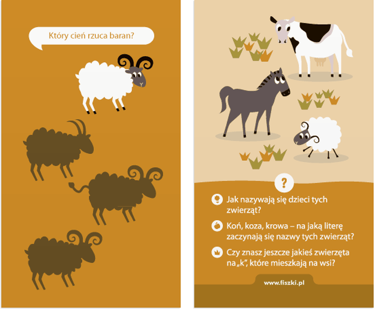 Fiszki. Grajki. Książeczka. 4-5 latki