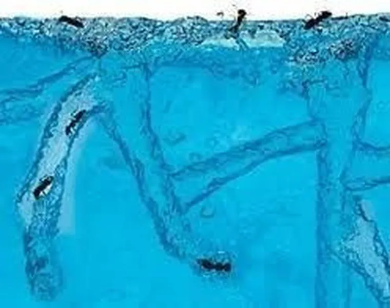 Gadget Master, akwarium dla mrówek, podświetlane LED