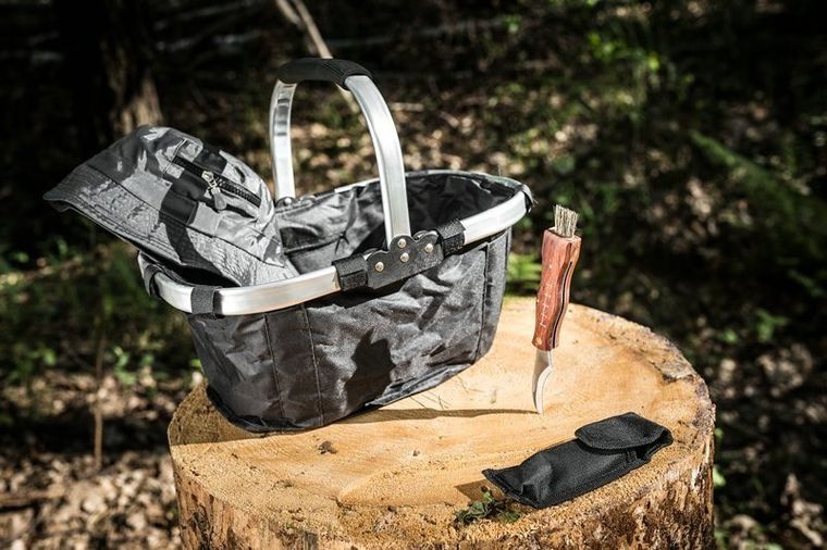 Gadget Master, niezbędnik grzybiarza