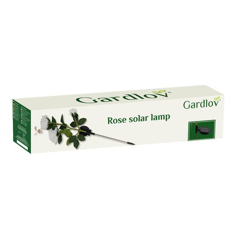 Gardlov, lampa solarna, róża