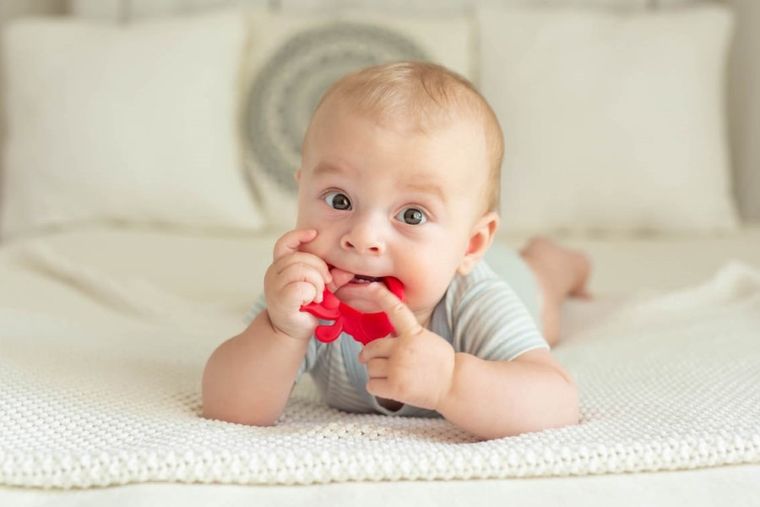 GiliGums, gryzak, truskawka