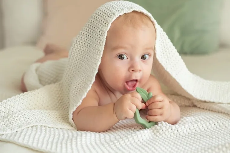 GiliGums, Jabłko, gryzak