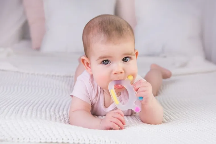 GiliGums, Korona, gryzak