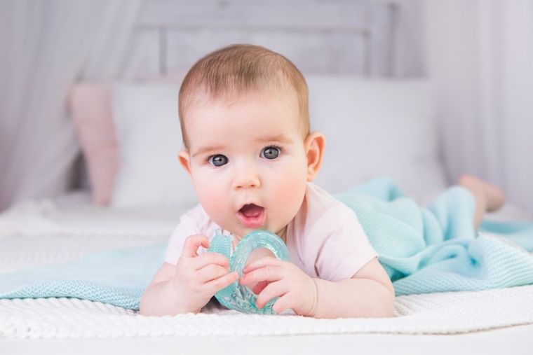 GiliGums, Ślimak, szczoteczka