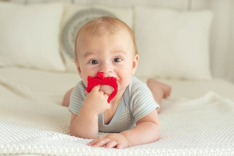 GiliGums, Truskawka, gryzak