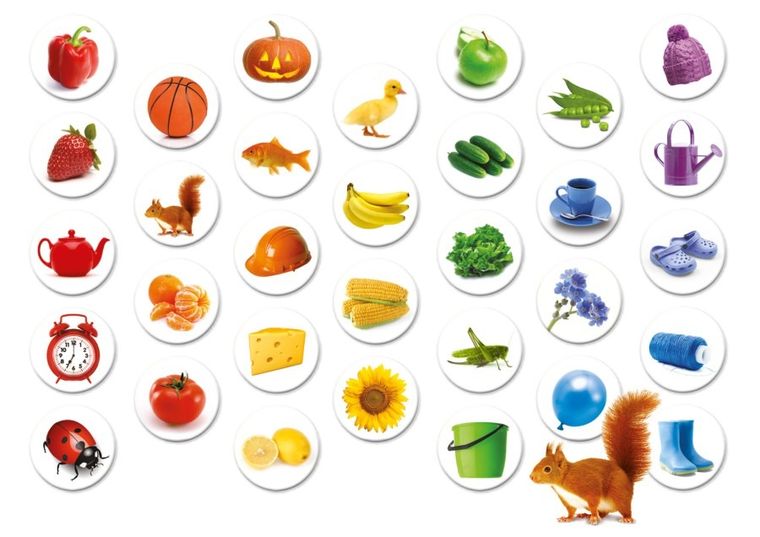 Granna, Tęcza, gra edukacyjna